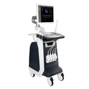 Multi-Probe Ultrasound System,B+C+D Synchronization Ultrasound,Accurate Fetal Anomaly Detection,Ultrasound system for deep tissue contrast resolution,Buy multi-probe digital color Doppler ultrasound