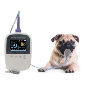Veterinary Equipment