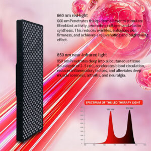 dual wave 3000w physiotherapy led infrared lamp